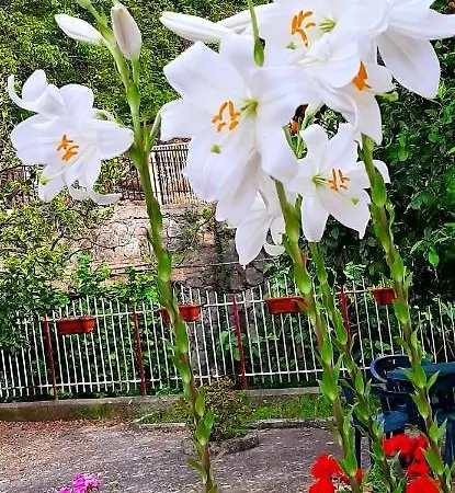 Casa Delle Rose, Pompei E Amalfi Coast * Corbara (Campania)