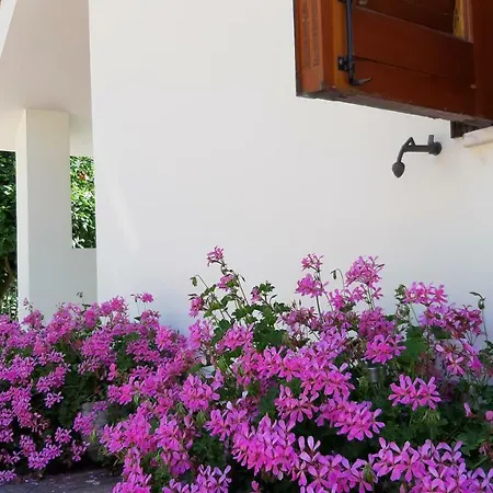 Casa Delle Rose, Pompei E Amalfi Coast Apartament