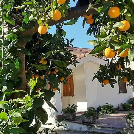 Casa Delle Rose, Pompei E Amalfi Coast