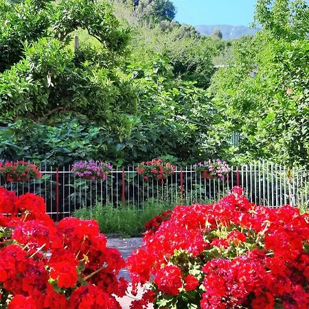 Apartment Casa Delle Rose, Pompei E Amalfi Coast