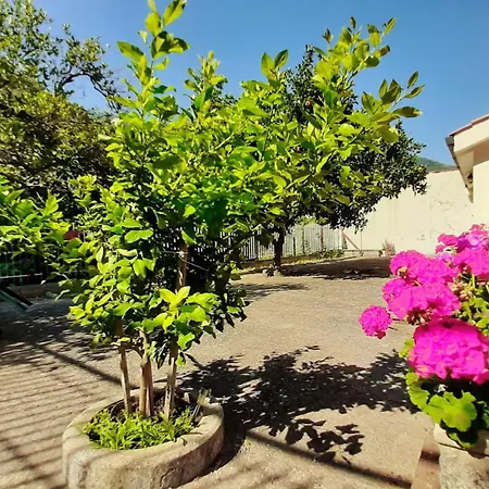 Casa Delle Rose, Pompei E Amalfi Coast *