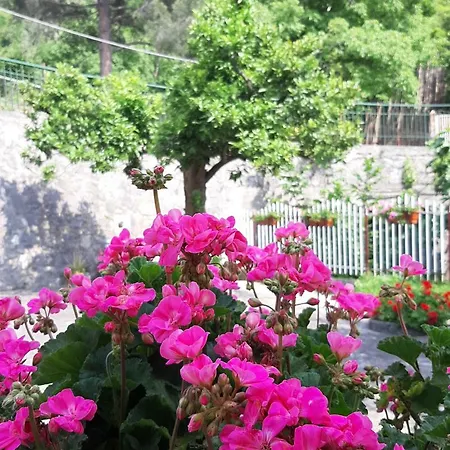 Casa Delle Rose, Pompei E Amalfi Coast * Corbara (Campania)