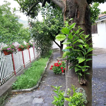 Casa Delle Rose, Pompei E Amalfi Coast