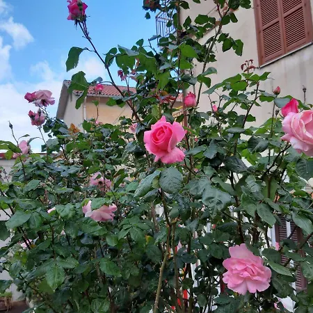 Casa Delle Rose, Pompei E Amalfi Coast Corbara (Campania)